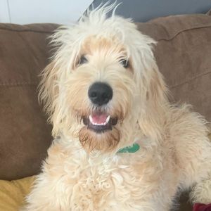 Meet your Posher, Kt